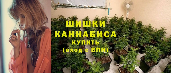 ПСИЛОЦИБИНОВЫЕ ГРИБЫ Белокуриха