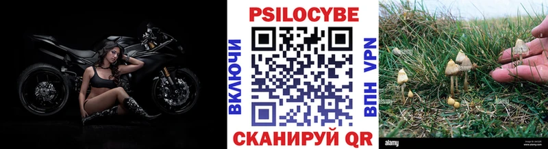 Галлюциногенные грибы мицелий  где купить наркоту  Чадан 