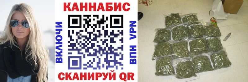 Бошки Шишки планчик  Чадан 